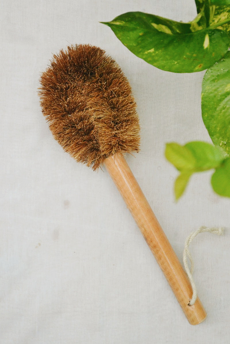 Fibre de coco – Brosse à pot à long manche