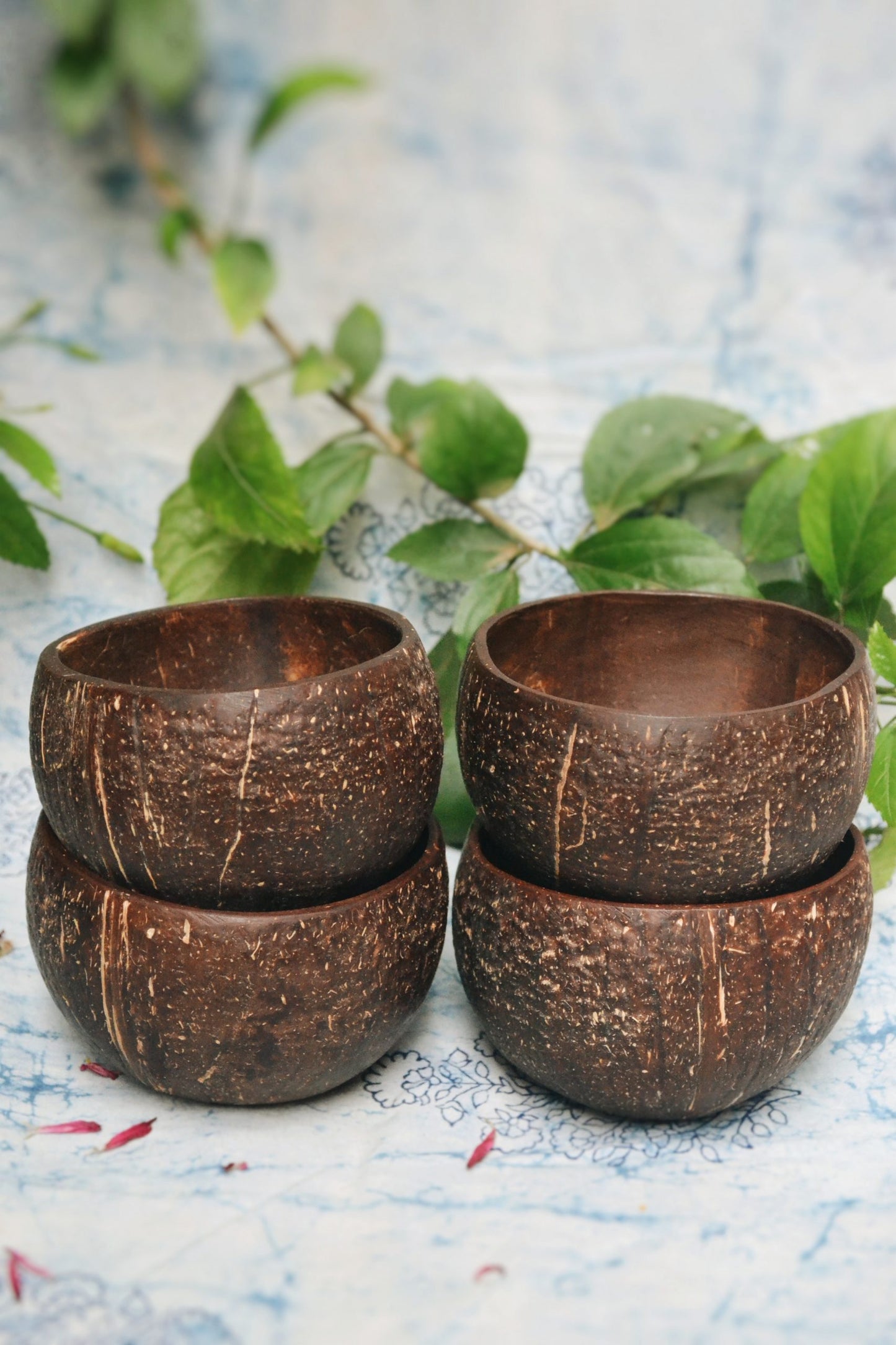 .Coconut Bowl - Pack of 4