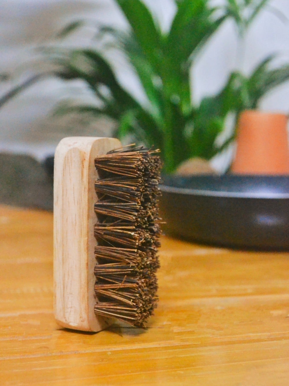 Kitchen Hard Scrub Brush  