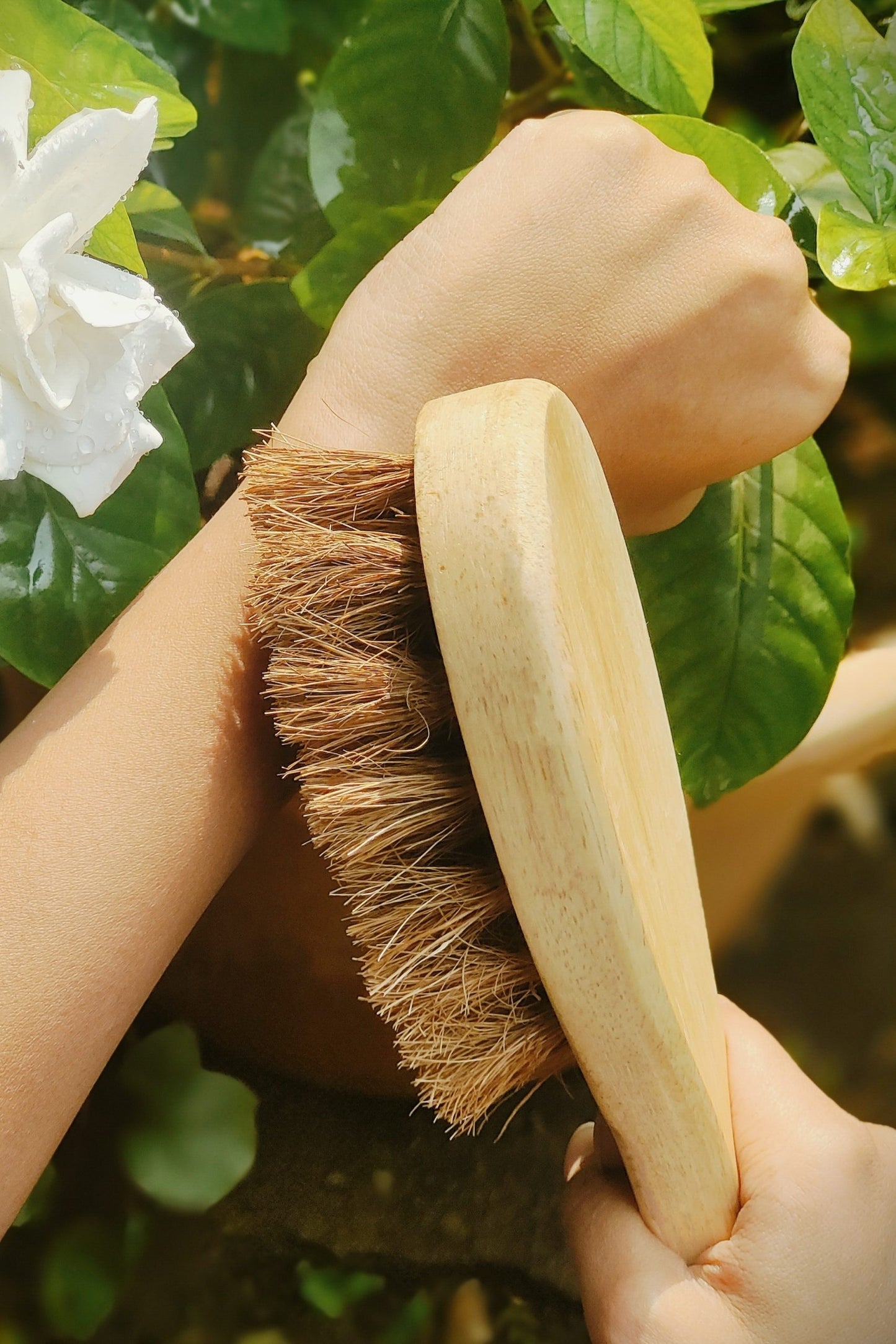 .Coconut Fiber - Dry Body Brush