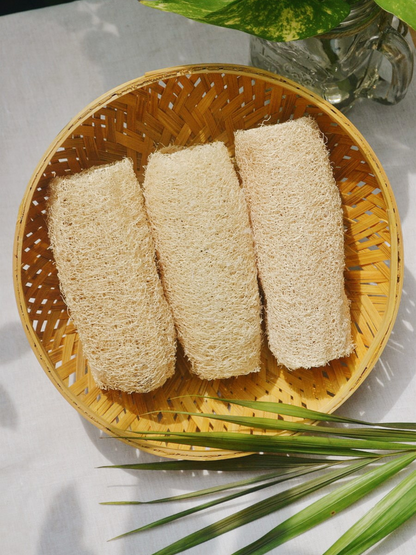 Three eco-friendly loofah sponges neatly placed in a round handwoven bamboo basket, surrounded by tropical leaves and natural light — ideal for eco-conscious exfoliation and plastic-free living.