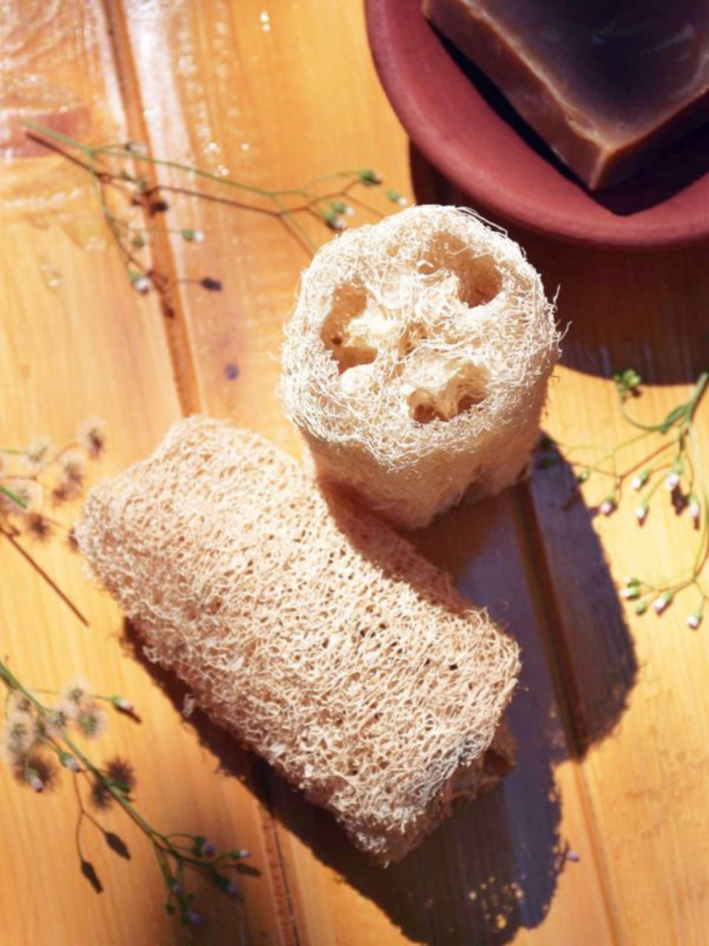 Two cylindrical natural loofah sponges laid on a wooden surface with dried floral accents and an earthy soap bar, highlighting sustainable bath essentials made from biodegradable plant fibers.